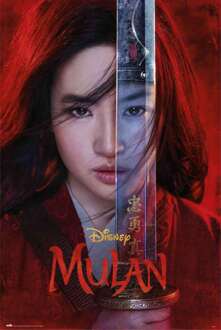 Poster Disney Mulan One Sheet 61x91,5cm Divers - 61x91.5 cm