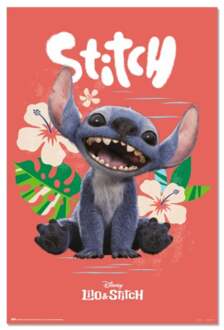Poster Disney - Stitch - Live Action 61x91,5cm Divers - 61x91.5 cm