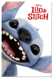 Poster Disney - Stitch - Live Action Face 61x91,5cm Divers - 61x91.5 cm