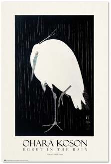 Poster Egret In The Rain 61x91,5cm Divers - 61x91.5 cm