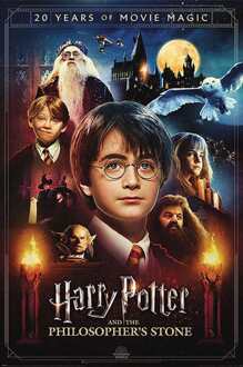 Poster Harry Potter 20 Years of Movie Magic 61x91,5cm Multikleur