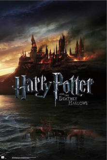 Poster Harry Potter and the Deathly Hallows 61x91,5cm Divers - 61x91.5 cm