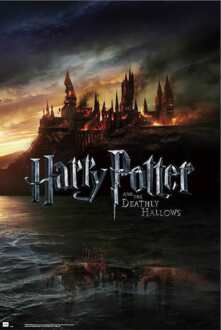 Poster Harry Potter - and the Deathly Hallows 61x91,5cm Divers - 61x91.5 cm