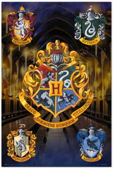 Poster Harry Potter Escodus Hogwarts 61x91,5cm Divers - 61x91.5 cm