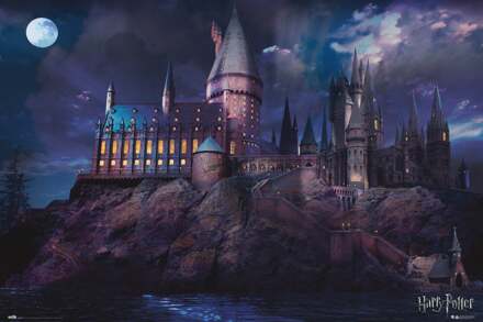 Poster Harry Potter Hogwarts 91,5x61cm Divers - 91.5x61 cm