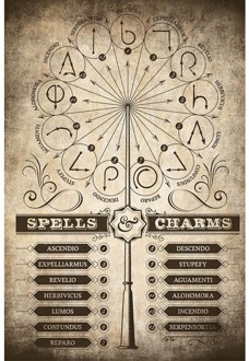 Poster Harry Potter Spells and Charms 61x91,5cm Divers - 61x91.5 cm