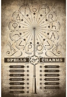 Poster Harry Potter - Spells and Charms 61x91,5cm Divers - 61x91.5 cm