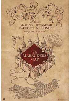 Poster Harry Potter - The Marauders Map 61x91,5cm Divers - 61x91.5 cm