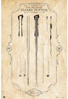 Poster Harry Potter The Wand 61x91,5cm Divers - 61x91.5 cm