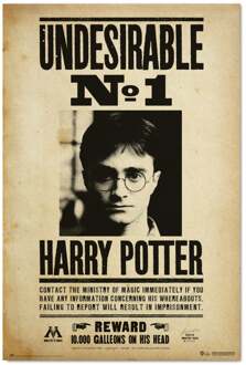 Poster Harry Potter Undesirable No 1 61x91,5cm Divers - 61x91.5 cm