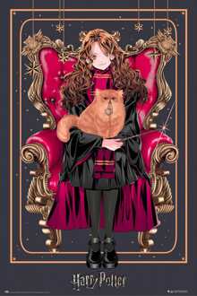 Poster Harry Potter Wizard Dynasty Hermione Granger 61x91,5cm Divers - 61x91.5 cm