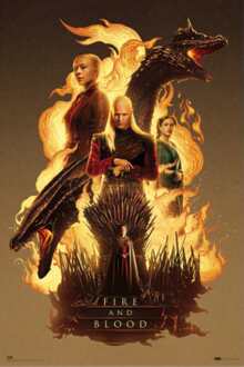 Poster House of the Dragon - Fire and Blood 61x91,5cm Divers - 61x91.5 cm