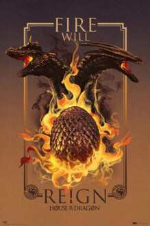 Poster House of the Dragon - Fire Will Reign 61x91,5cm Divers - 61x91.5 cm