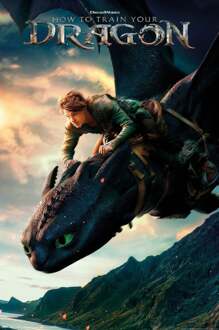 Poster How To Train Your Dragon - Live Action 61x91,5cm Divers - 61x91.5 cm