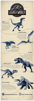 Poster Jurassic World - 53x158cm Divers - 53x158 cm