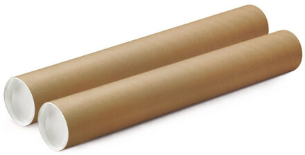 Poster koker - 2x - 730 x 100 mm - bruin - karton - met witte deksel - verzendkokers - delselkoker