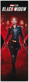 Poster Marvel Black Widow 53x158cm Divers - 53x158 cm