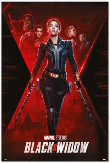 Poster Marvel Black Widow 61x91,5cm Divers - 61x91.5 cm