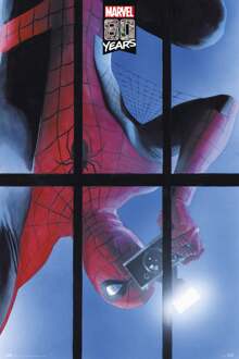 Poster Marvel Spider-Man 80 Years 61x91,5cm Divers - 61x91.5 cm