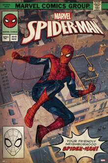 Poster Marvel Spider-Man Comic Front 61x91,5cm Divers - 61x91.5 cm