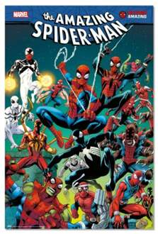 Poster Marvel - Web 61x91,5cm Divers - 61x91.5 cm