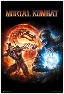 Poster Mortal Kombat - 9 Videogame 61x91,5cm Divers - 61x91.5 cm