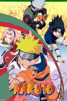 Poster Naruto 61x91,5cm Divers - 61x91.5 cm