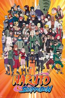 Poster Naruto Shippuden - Characters 61x91,5cm Divers - 61x91.5 cm