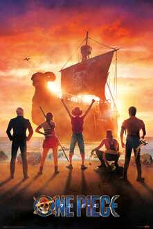 Poster One Piece - Netflix Straw Hat Pirates 61x91,5cm Divers - 61x91.5 cm