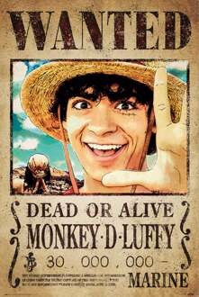 Poster One Piece Netflix Wanted Monkey D Luffy 61x91,5cm Divers - 61x91.5 cm