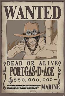 Poster One Piece - Wanted Ace Opgerolde Film (91.5x61) - Abystyle