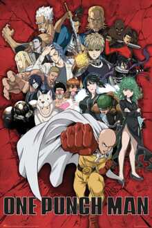 Poster One Punch Man Heroes 61x91,5cm Divers - 61x91.5 cm