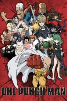 Poster One Punch Man - Heroes 61x91,5cm Divers - 61x91.5 cm
