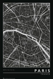Poster Paric City Map 61x91,5cm Divers - 61x91.5 cm