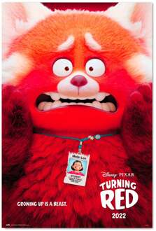 Poster Pixar Turning Red 61x91,5cm Divers - 61x91.5 cm