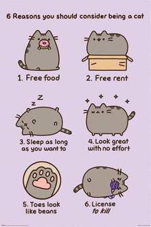 Poster Pusheen Reasons to be a Cat 61x91,5cm Multikleur