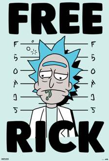 Poster Rick and Morty Free Rick 61x91,5cm Divers - 61x91.5 cm