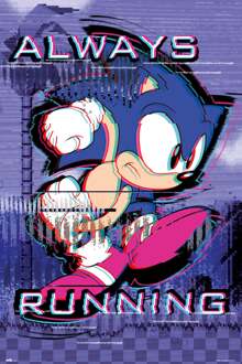 Poster Sonic Always Running 61x91,5cm Divers - 61x91.5 cm
