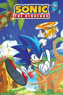 Poster Sonic the Hedgehog and Tails 61x91,5cm Divers - 61x91.5 cm