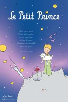 Poster The Little Prince 61x91,5cm Divers - 61x91.5 cm