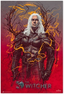 Poster The Witcher 2 Geralt Of Rivia 61x91,5cm Divers - 61x91.5 cm