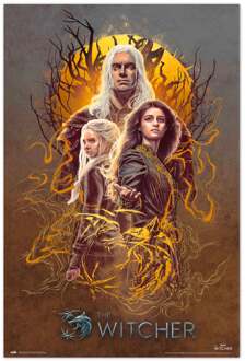 Poster The Witcher 2 Group 61x91,5cm Divers - 61x91.5 cm