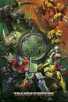 Poster Transformers Rise of the Beasts 61x91,5cm Divers - 61x91.5 cm