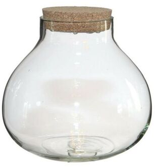 Pot/vaas van glas voor planten ecosysteem - deksel met LED verlichting - D20 x H20 cm - Vazen Transparant