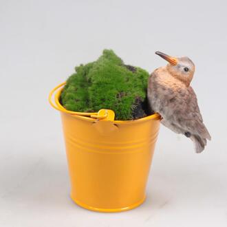 Pothanger vogel grutto bruin