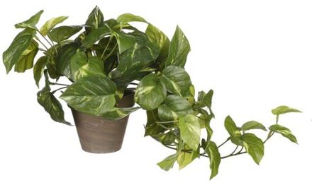 Pothos Kunstplant - 17x17x44 cm - Groen