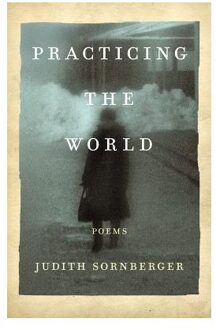 Practicing the World