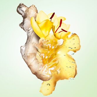 Prada Les Infusions de Gingembre Eau de Parfum 100 ml