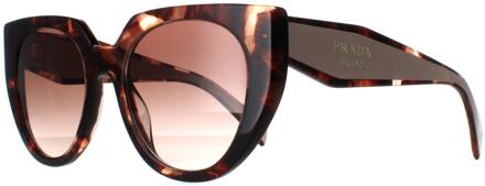 Prada PR14WS 01R0A6 caramel tortoise en poederbruin gradiënt zonnebril