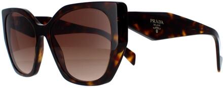 Prada PR19ZS 2AU6S1 havana bruin gradiënt zonnebril - maat